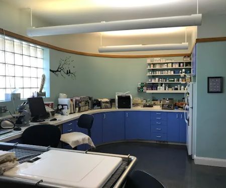 Just Cats Hospital