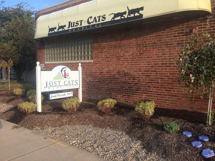 Just Cats Hospital Picture 10