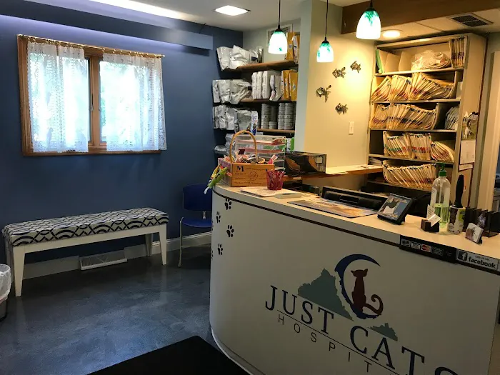 Just Cats Hospital Picture 9