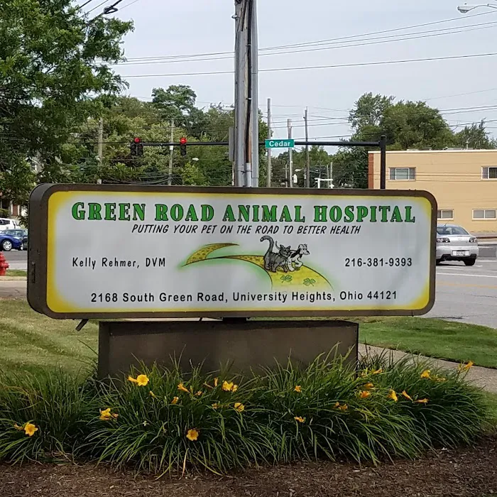 Green Road Animal Hospital Picture 5