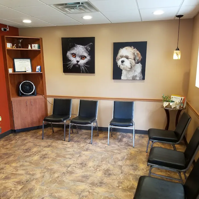 Green Road Animal Hospital Picture 4