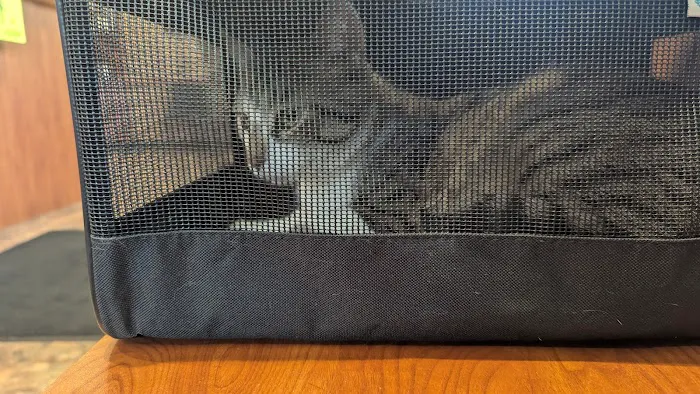 Green Road Animal Hospital Picture 8