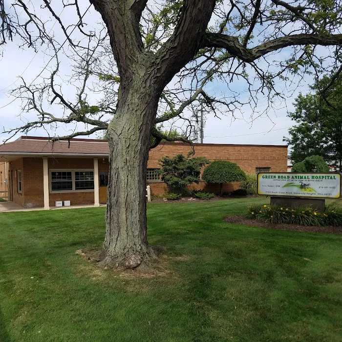 Green Road Animal Hospital Picture 7