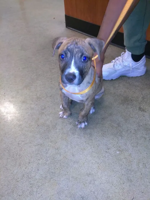 Banfield Pet Hospital Picture 6