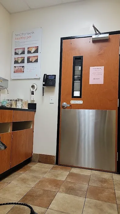 Banfield Pet Hospital Picture 5