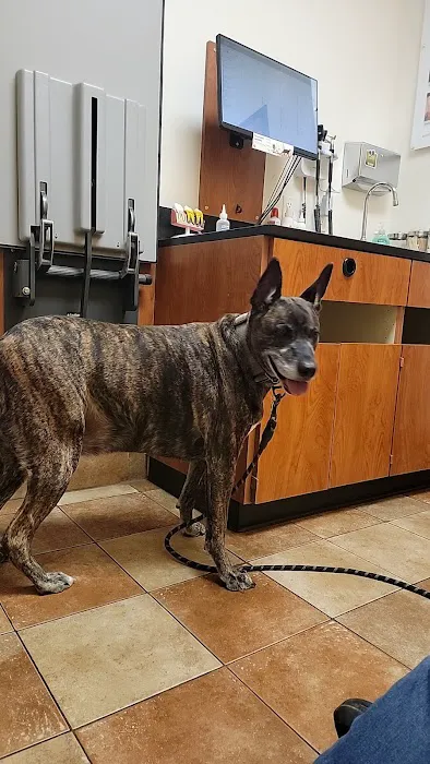 Banfield Pet Hospital Picture 2