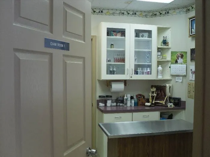 LoveNCare Animal Hospital Picture 2