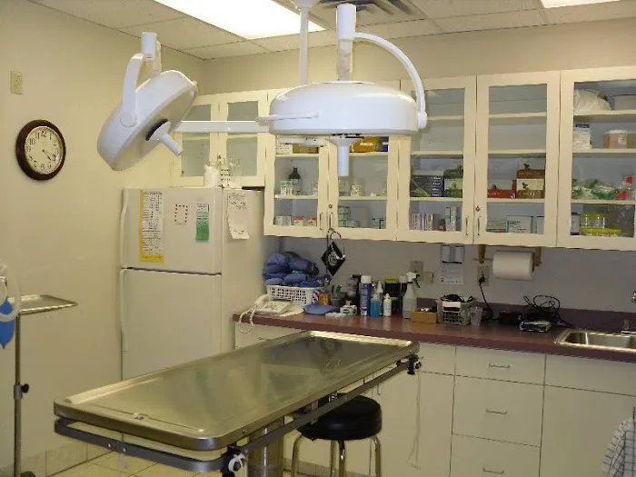 LoveNCare Animal Hospital Picture 4