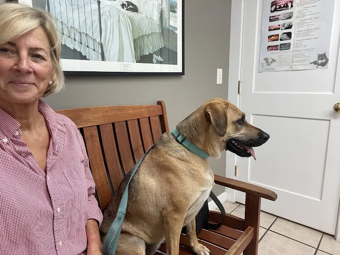 Old Town Animal Hospital Picture 5