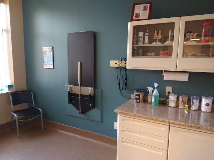Bassler Veterinary Hospital Picture 3