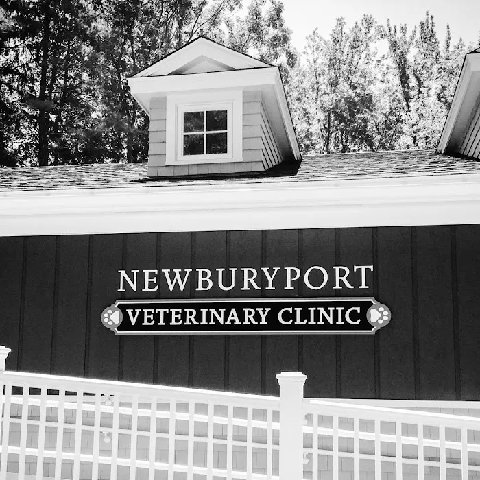 Newburyport Veterinary Clinic Picture 2