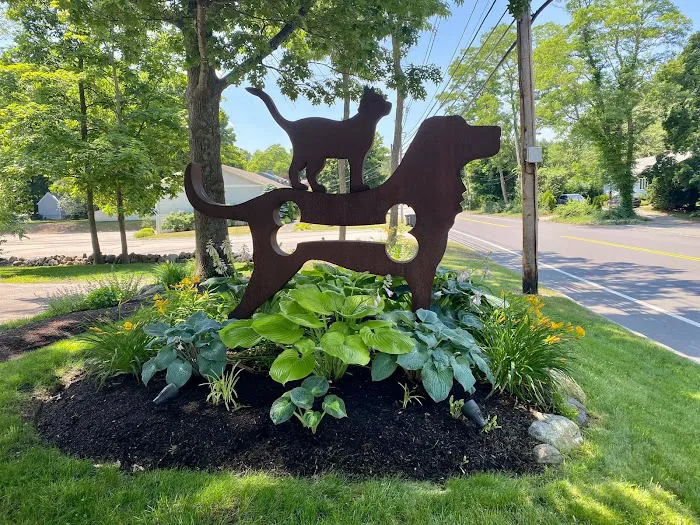 Newburyport Veterinary Clinic Picture 7