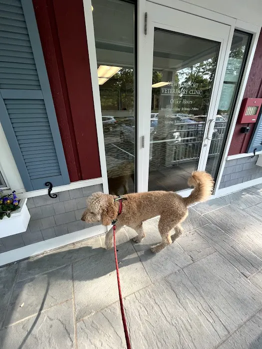 Newburyport Veterinary Clinic Picture 5
