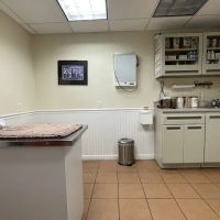 Carr Island Animal Hospital ico