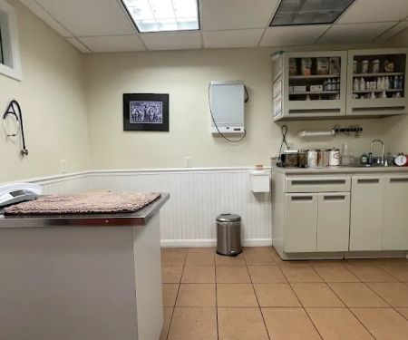 Carr Island Animal Hospital