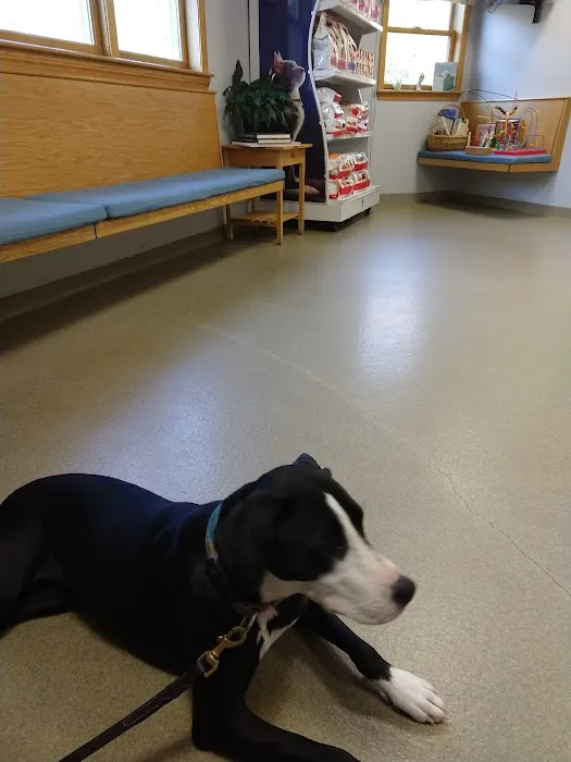 Newbury Animal Hospital Picture 6