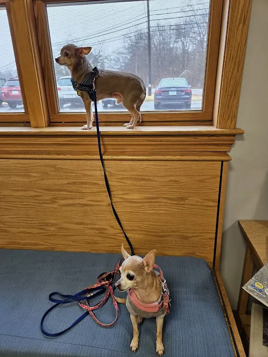 Newbury Animal Hospital Picture 2