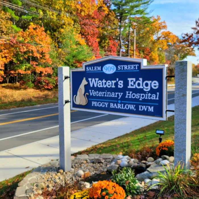 Water's Edge Veterinary Hospital Picture 2