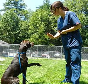 Muddy Creek Animal Care Center Picture 4