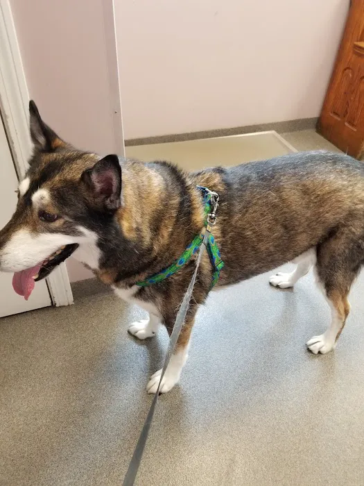 Cape Veterinary Clinic Picture 3