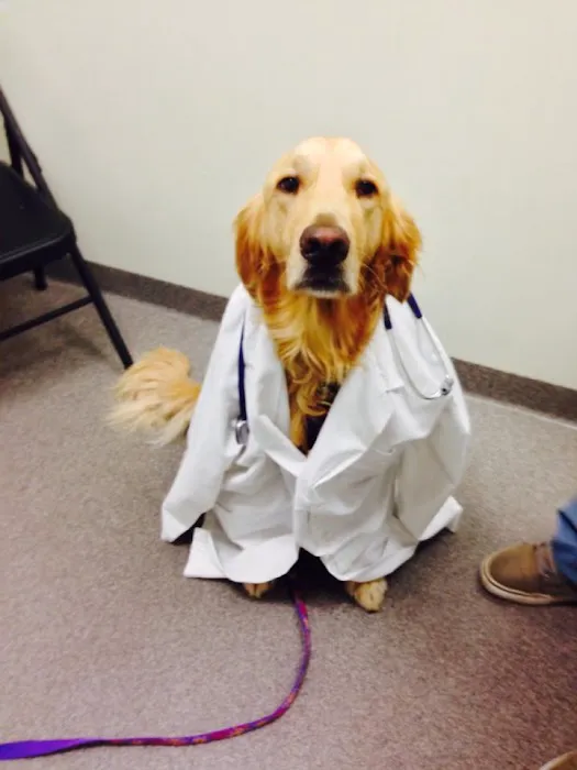 Cape Veterinary Clinic Picture 10
