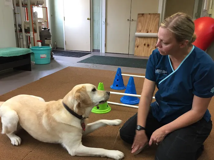 Veterinary and Rehabilitation Center of Cape Elizabeth Picture 6