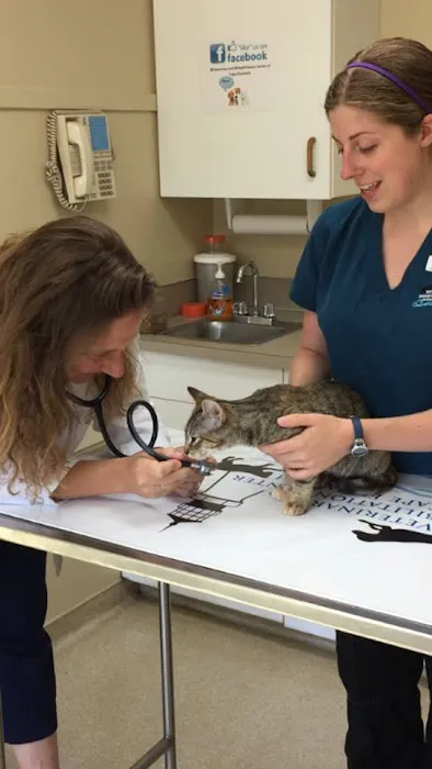 Veterinary and Rehabilitation Center of Cape Elizabeth Picture 2