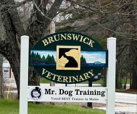 Brunswick Veterinary Clinic
