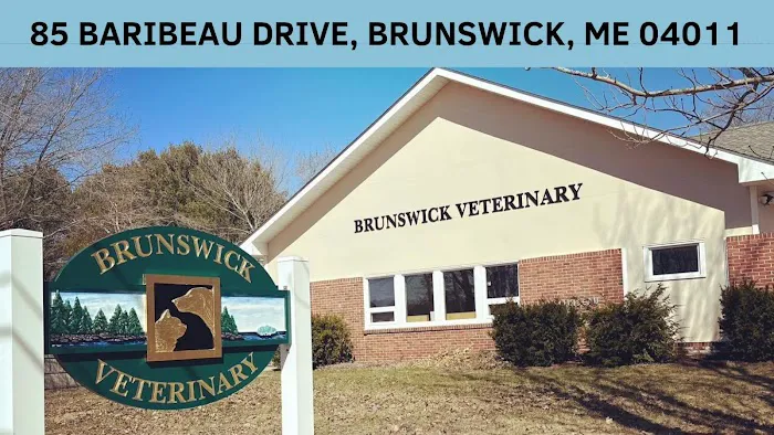 Brunswick Veterinary Clinic Picture 8