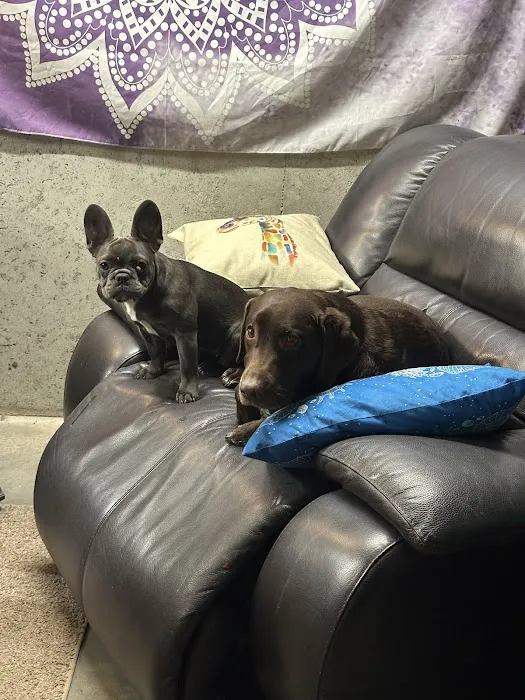 Brunswick Veterinary Clinic Picture 2