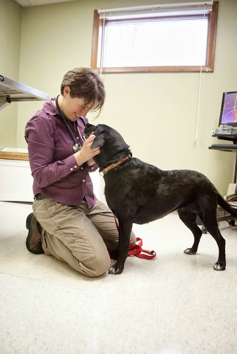 Topsham Veterinary Wellness Center Picture 5