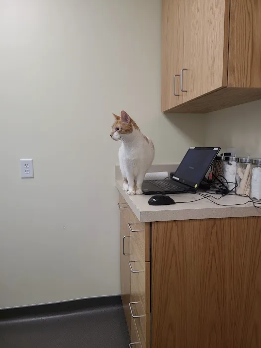 Topsham Veterinary Wellness Center Picture 3