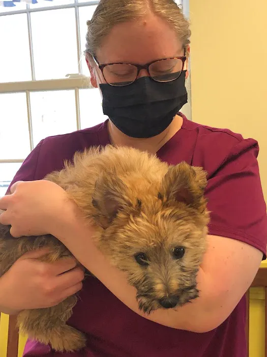 Sunray Animal Clinic Picture 3