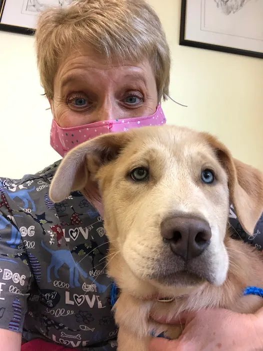 Sunray Animal Clinic Picture 5