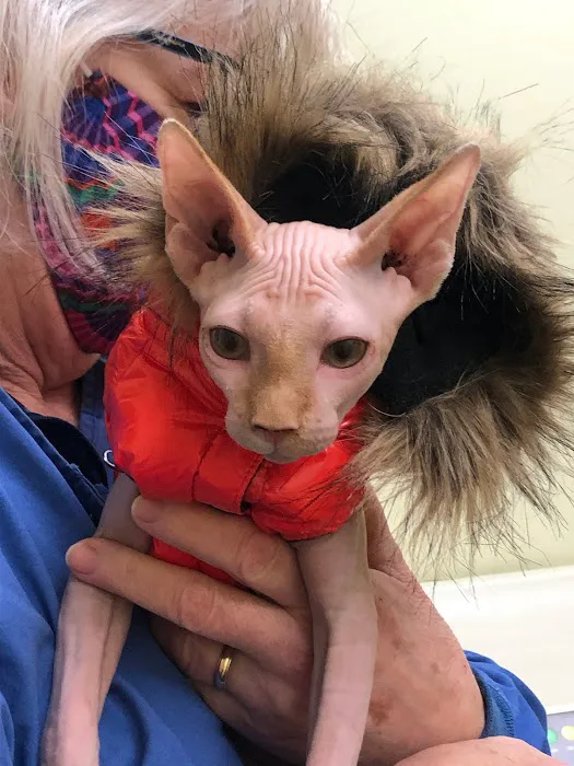 Sunray Animal Clinic Picture 1
