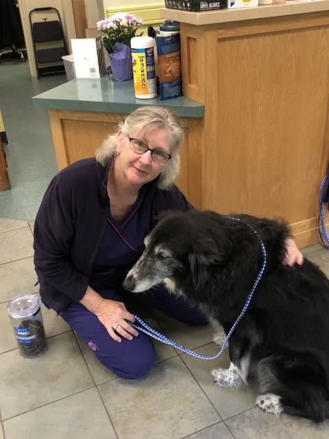 Sunray Animal Clinic Picture 10