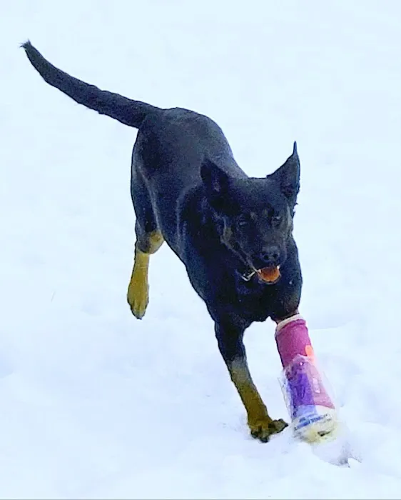 Winthrop Veterinary Hospital Picture 8