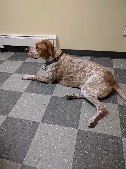 Winthrop Veterinary Hospital Picture 4