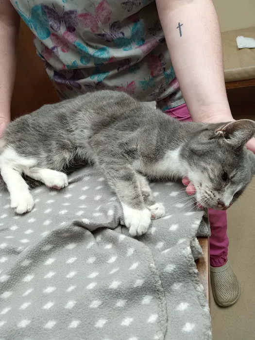 Pine Tree Veterinary Hospital Picture 6
