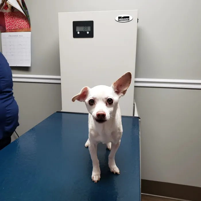 Kennebec Valley Animal Clinic Picture 2