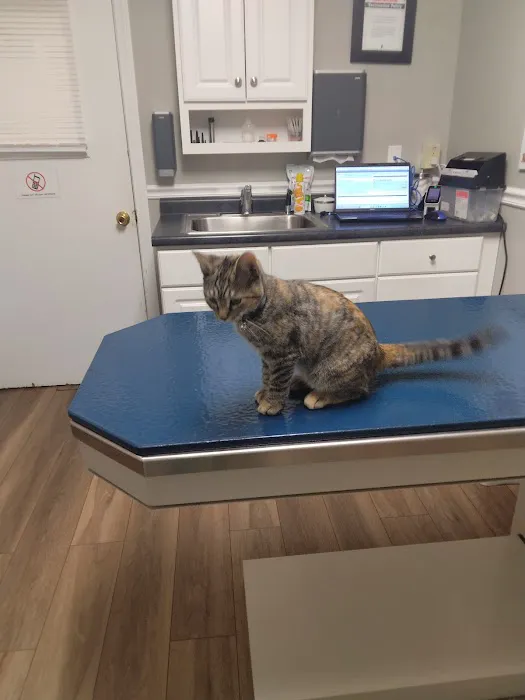 Kennebec Valley Animal Clinic Picture 3