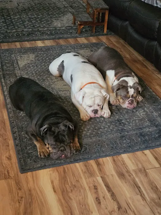 Companion Animal Clinic Picture 6