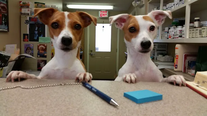 Animal Wellness Center Picture 1