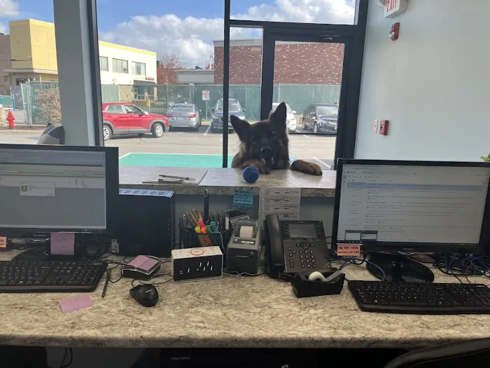 Wellington Circle Veterinary Center Picture 1