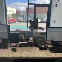 Wellington Circle Veterinary Center ico