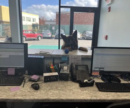 Wellington Circle Veterinary Center