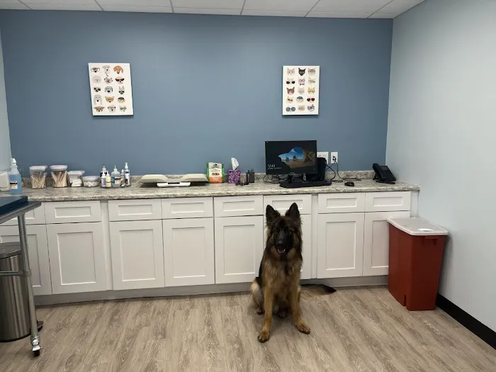 Wellington Circle Veterinary Center Picture 3