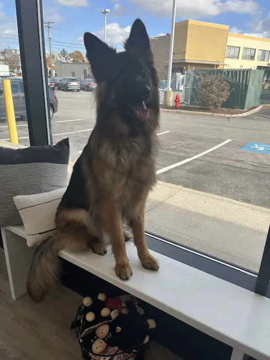 Wellington Circle Veterinary Center Picture 7