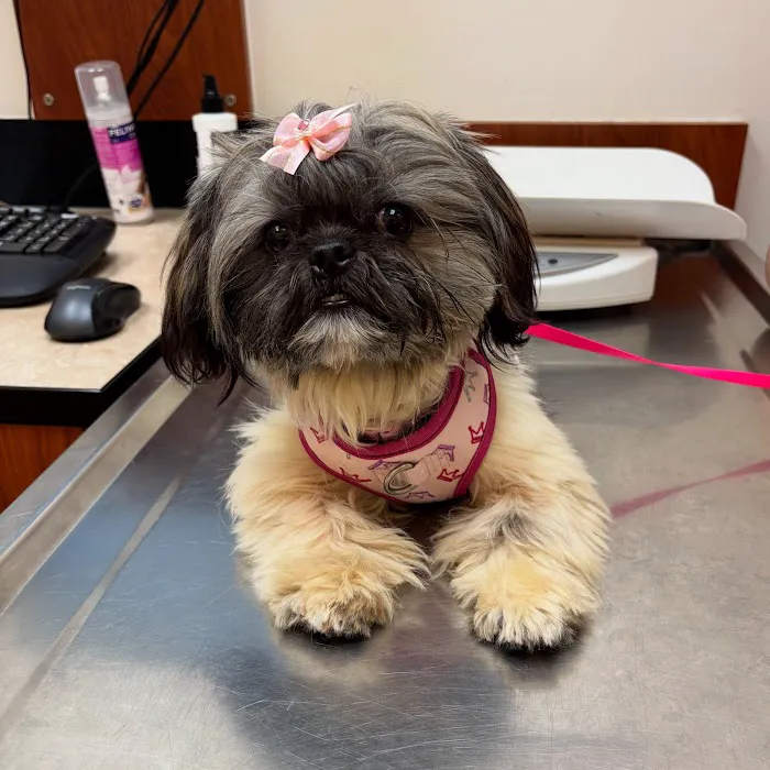 Banfield Pet Hospital Picture 4