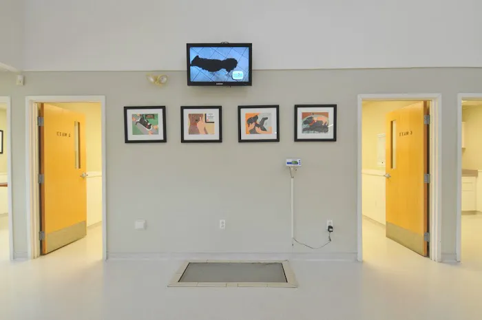 Driftway Animal Hospital Picture 2